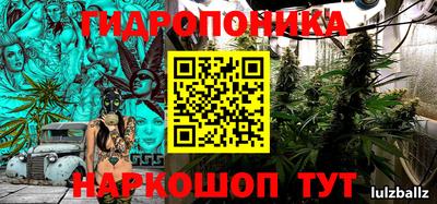 стафф Будённовск