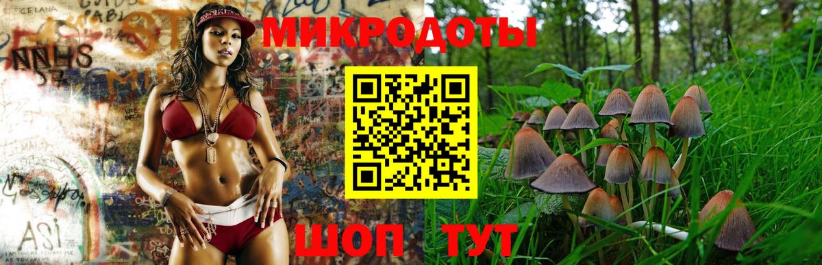 Псилоцибиновые грибы Psilocybe  Вход с VPN  Балашов 